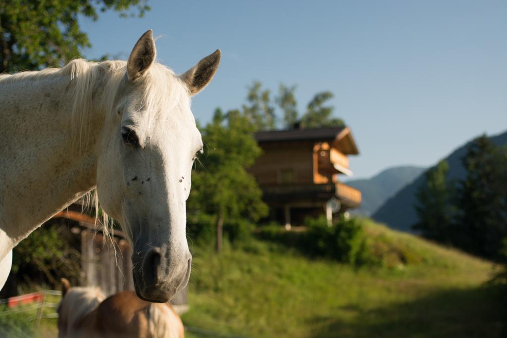 Ferienhaus Oetztal Hotell Sautens Eksteriør bilde