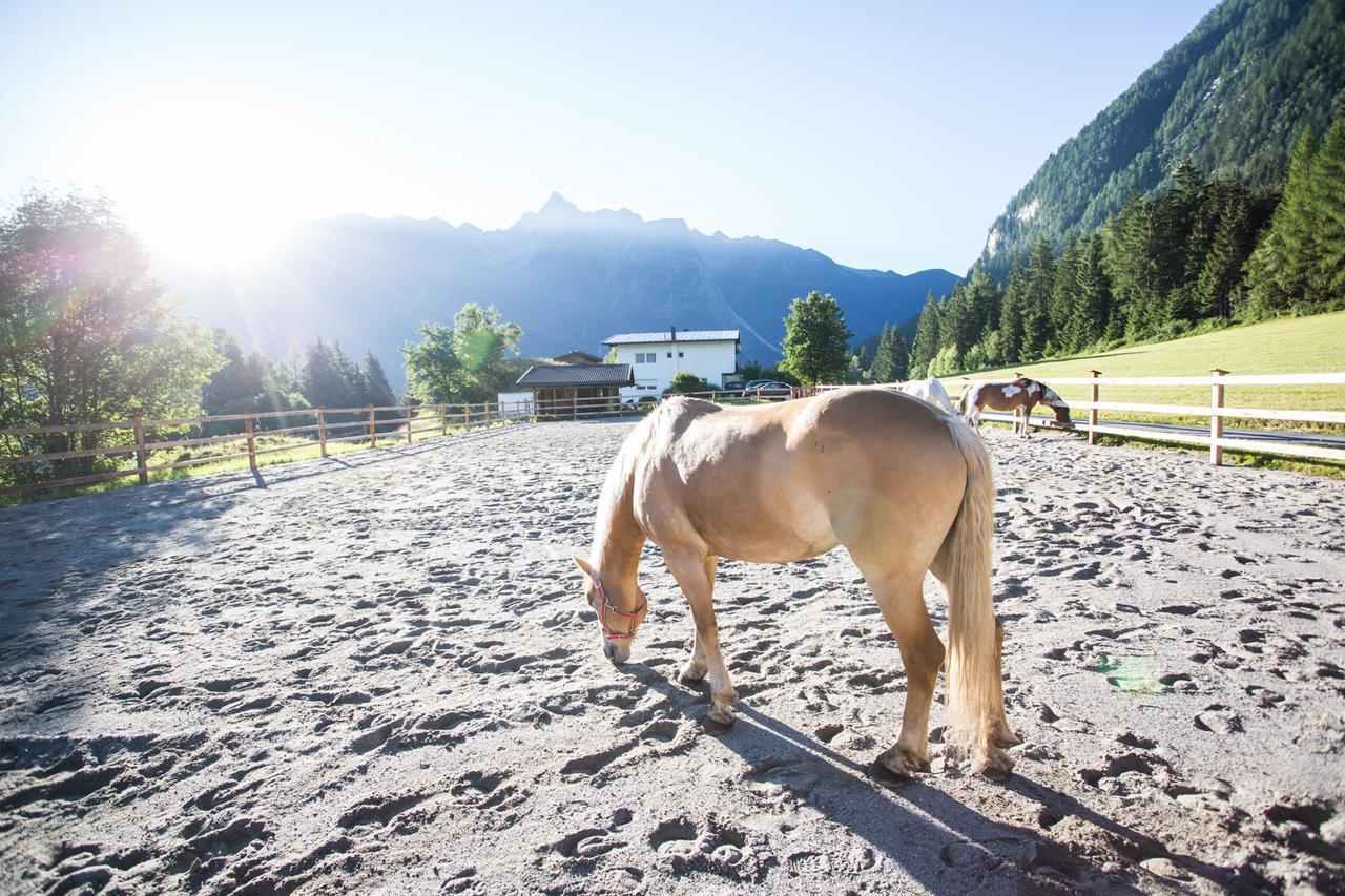 Ferienhaus Oetztal Hotell Sautens Eksteriør bilde